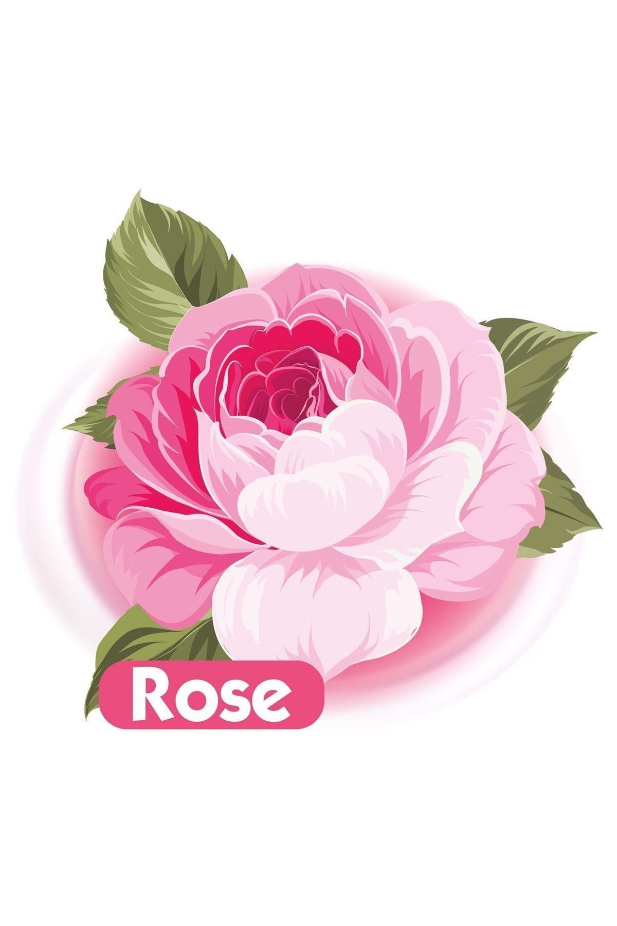 Gül Kokulu Islak Bebek Havlusu 12x90 Adet