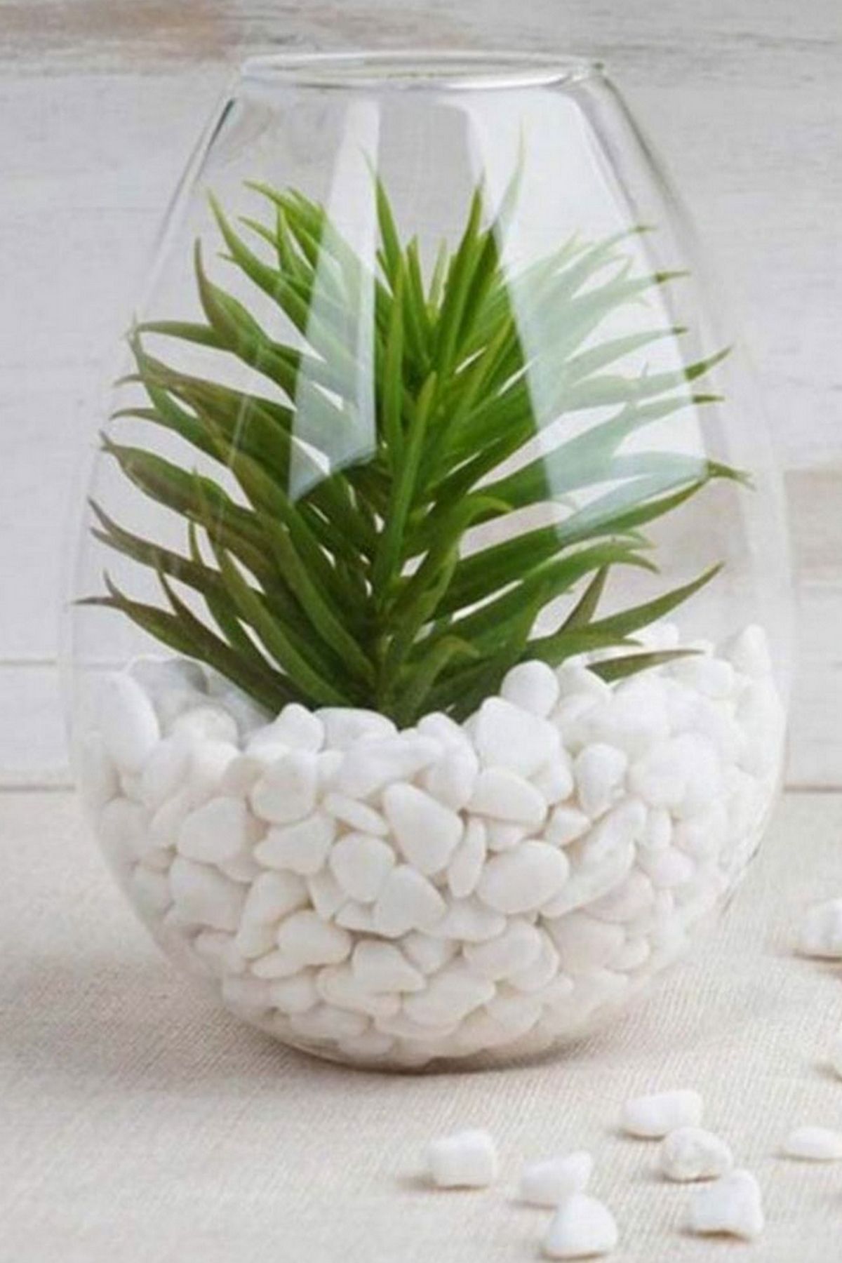 Cmdoğal Dolomit Taş 2 Kg 1-2 Cm Dekoratif Vazo Akvaryum Teraryum Taşı Beyaz.