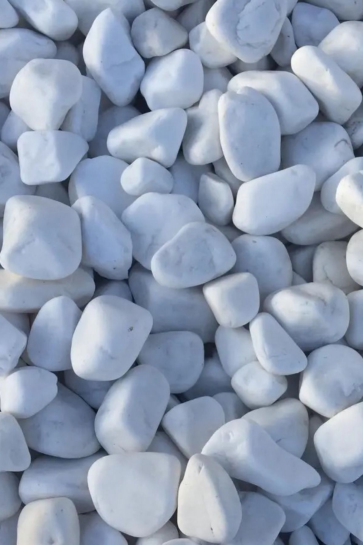 Cmdoğal Dolomit Taş 2 Kg 1-2 Cm Dekoratif Vazo Akvaryum Teraryum Taşı Beyaz.