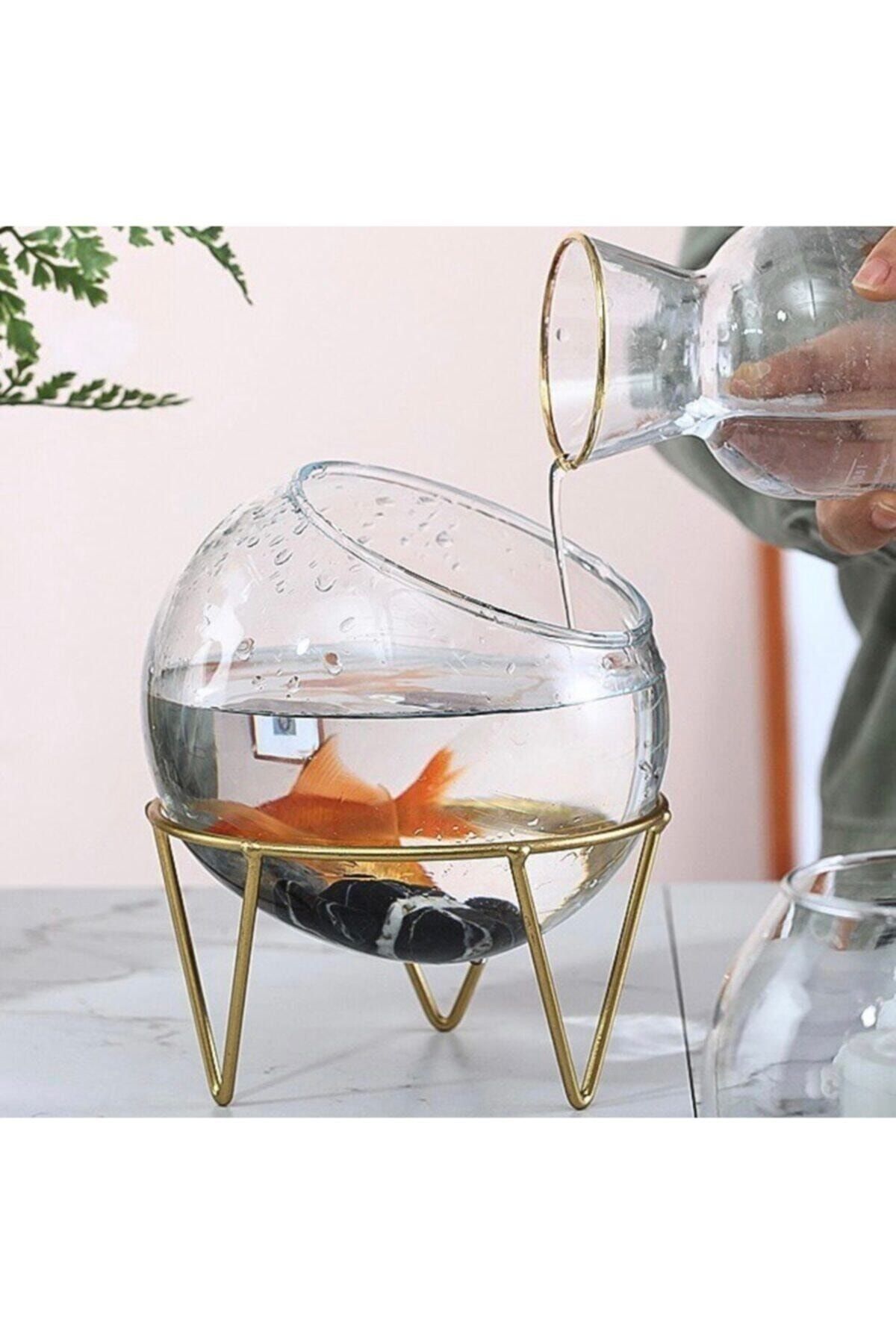 Özel Tasarım Cam Fanus, Cam Saksı, Meyvelik, Cam Mumluk, Akvaryum