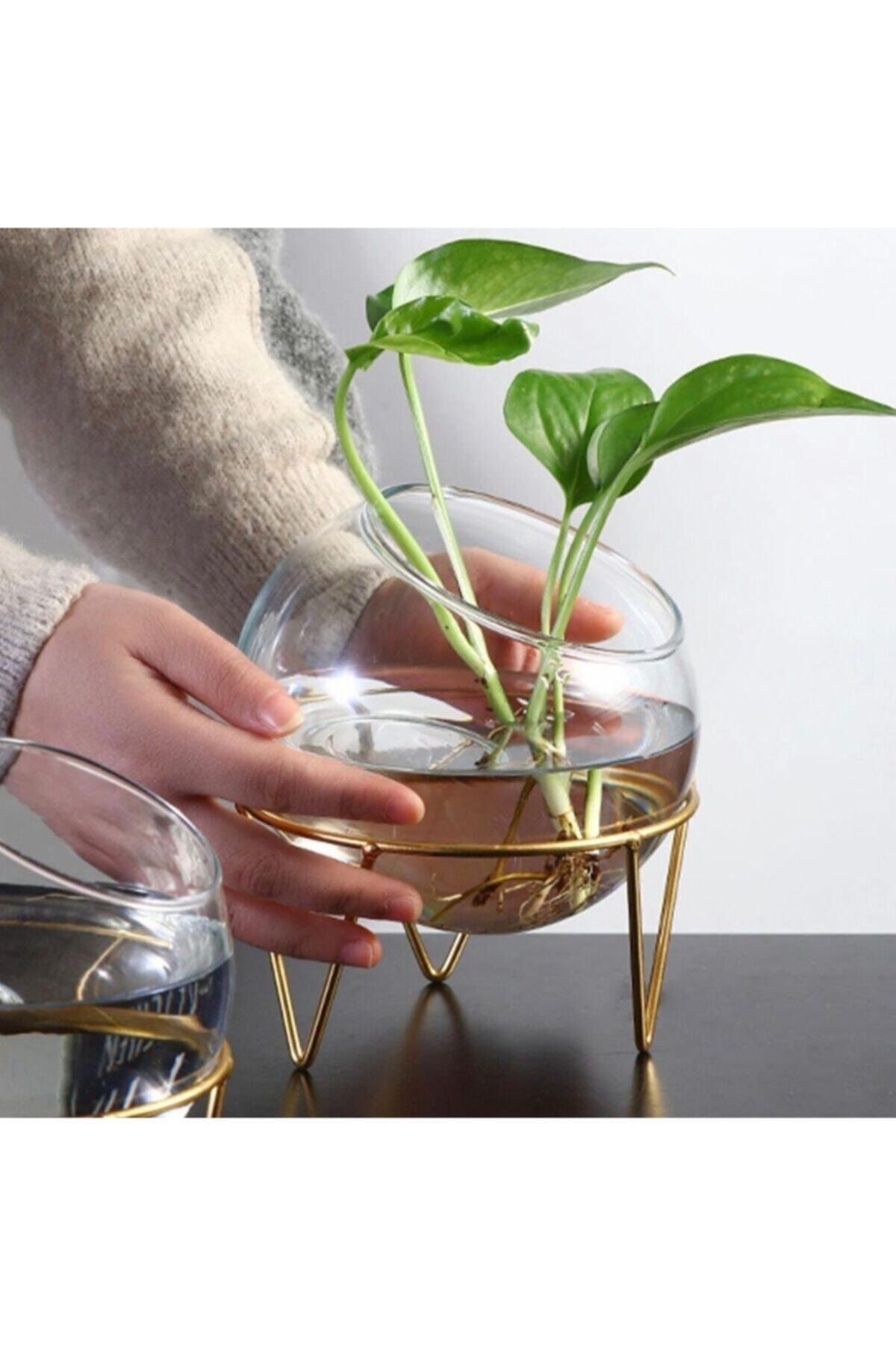 Özel Tasarım Cam Fanus, Cam Saksı, Meyvelik, Cam Mumluk, Akvaryum