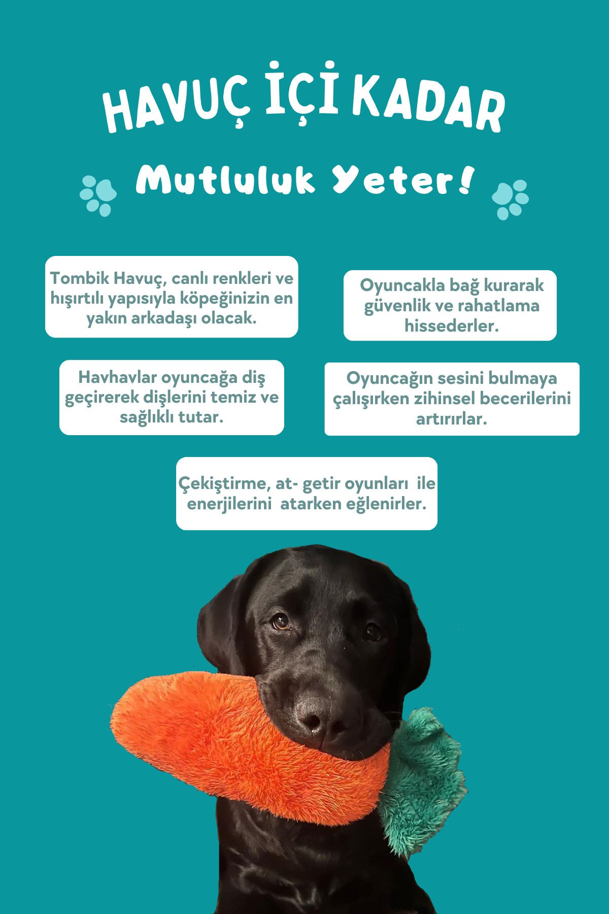 Tombik Havuç Ses Çıkaran Peluş Köpek Oyuncağı Çekiştirme Isırma Köpek Oyuncakları